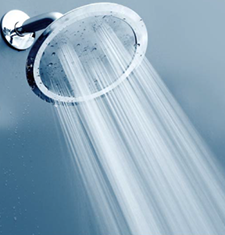 Fixed Showerhead